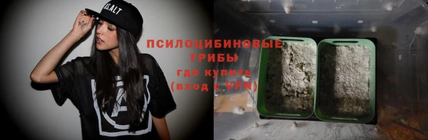 прущая мука Богородицк