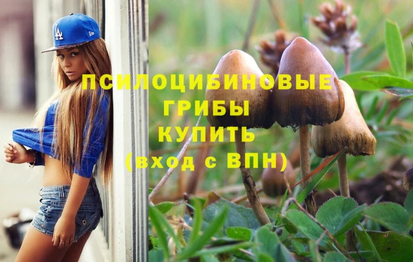 экстази Богородск