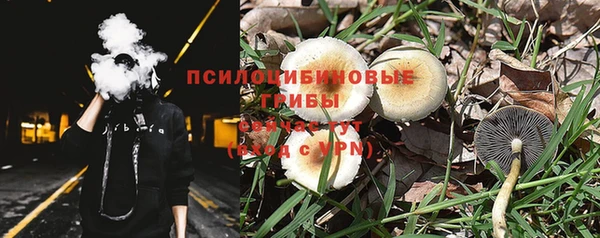 экстази Богородск