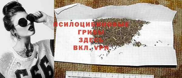 прущая мука Богородицк