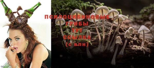 соль курить ск Богданович