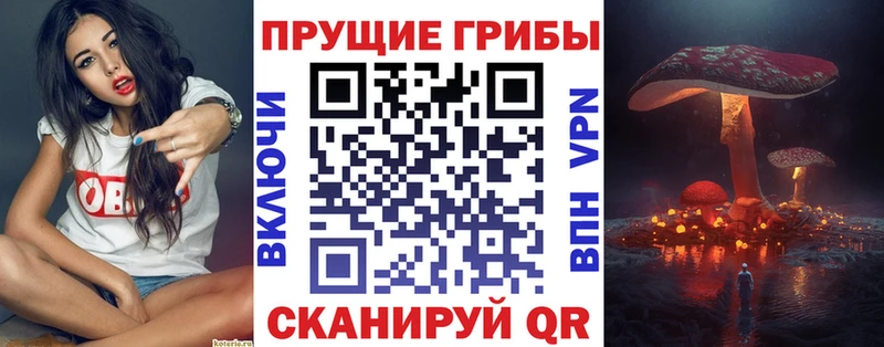 Псилоцибиновые грибы Psilocybine cubensis  наркотики  блэк спрут рабочий сайт  Малаховка 
